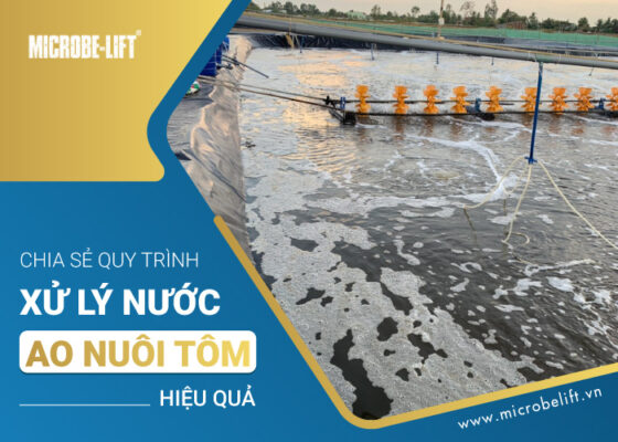 xử lý nước ao nuôi tôm