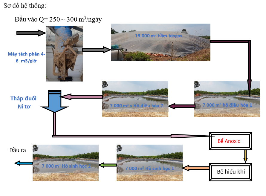 sơ đồ hệ thống xử lý hầm biogas